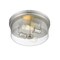 Z-Lite Bohin 2 Light Flush Mount, Brushed Nickel And Clear Seedy 464F13-BN - alternate 3